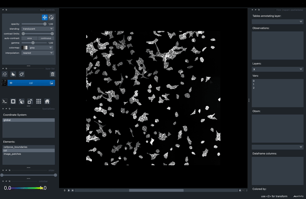 Interactive point selection in napari